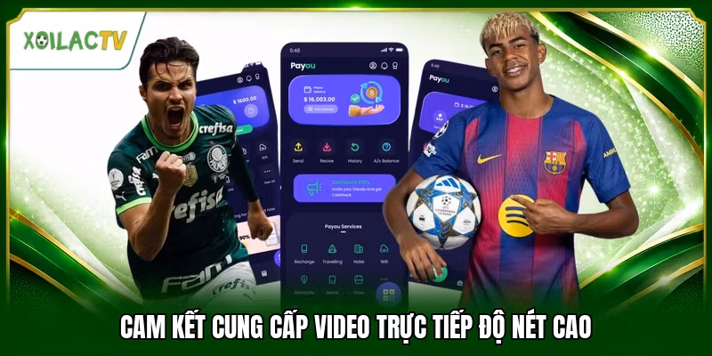 Cam kết cung cấp video trực tiếp độ nét cao