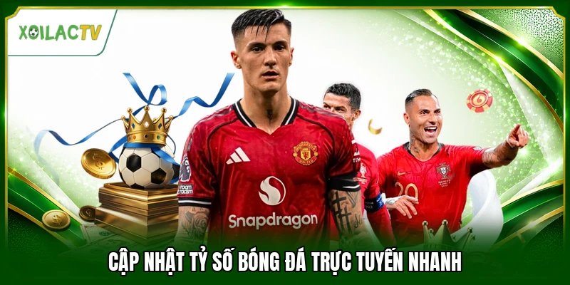 Cập nhật tỷ số bóng đá trực tuyến nhanh
