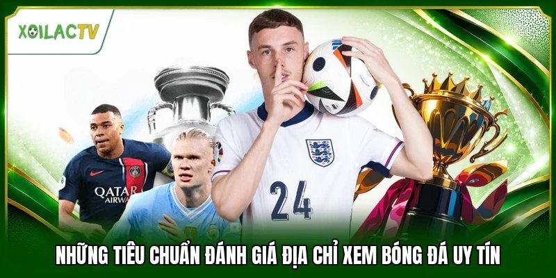 Những tiêu chuẩn đánh giá địa chỉ xem bóng đá uy tín