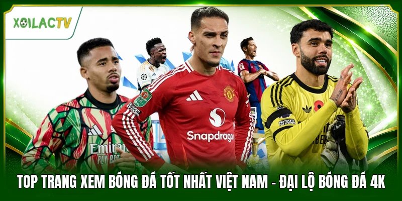 Top Trang Xem Bóng Đá Tốt Nhất Việt Nam - Đại Lộ Bóng Đá 4K